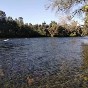 Meet your Posher, Félix